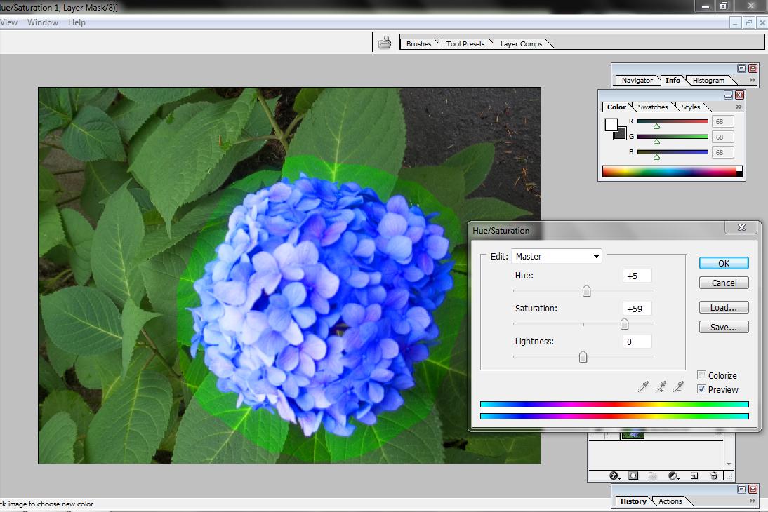 Color Accents Tutorial for Every Learner.