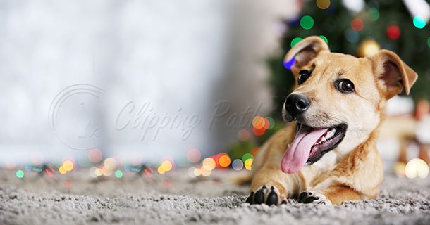 background_replacement_before_01
