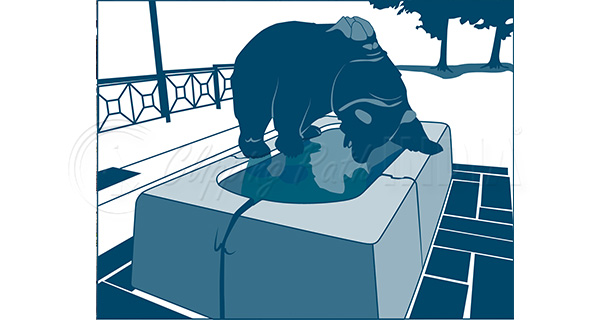 photo_vector_after_01